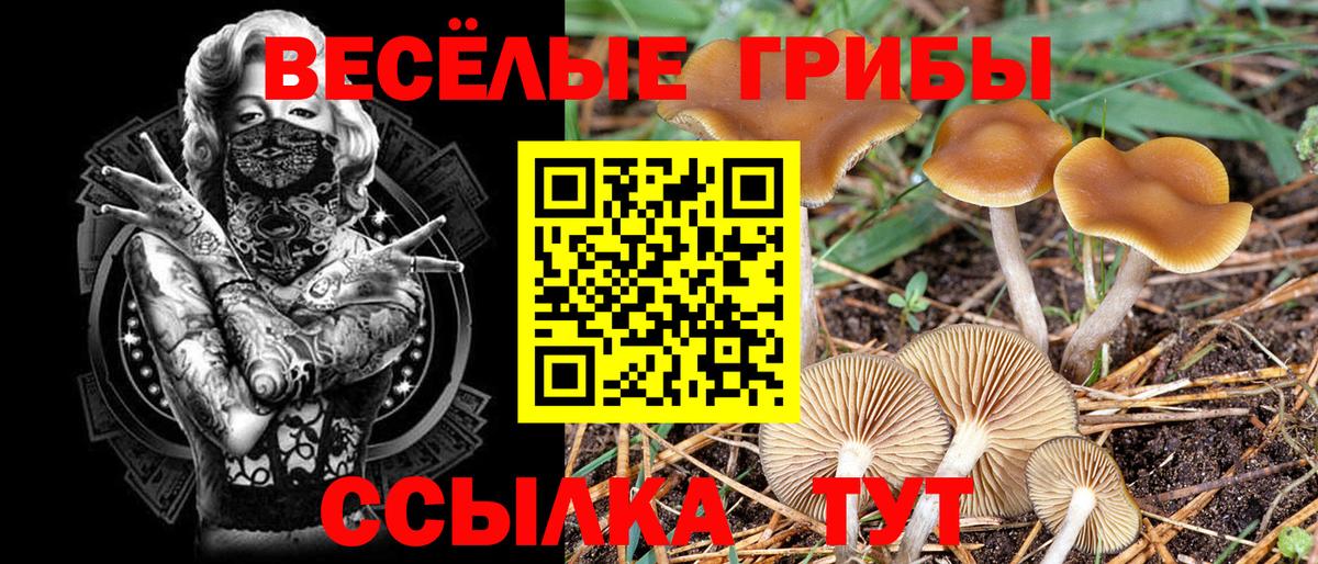 Галлюциногенные грибы мухоморы  Галлюциногенные грибы мицелий  Вязники  Вход с VPN 