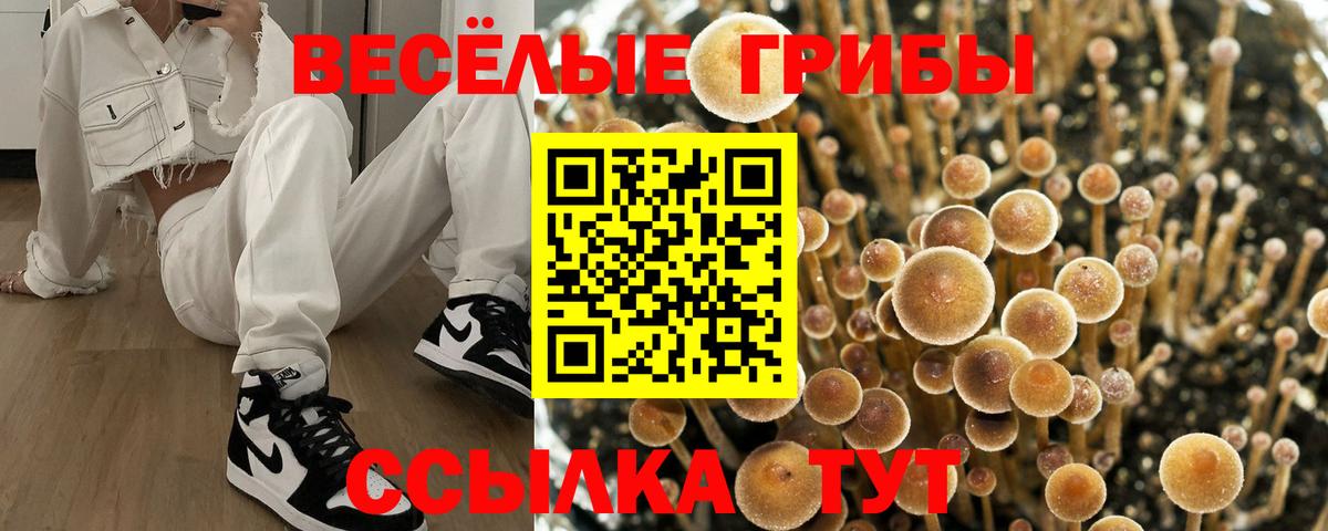 Псилоцибиновые грибы мухоморы Вязники
